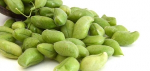 فوائد الحاملة