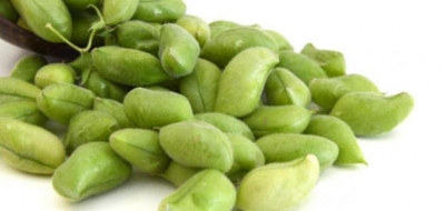 فوائد الحاملة