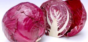 فوائد اللهانة الحمراء