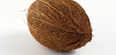 فوائد ثمرة جوز الهند