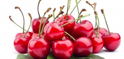 فوائد وأضرار حب الملوك