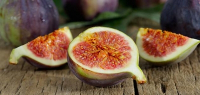 معلومات عن ثمرة التين