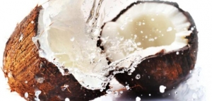 تقرير عن أهمية ثمرة جوز الهند