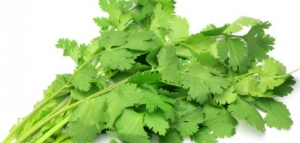 فوائد الكزبرة