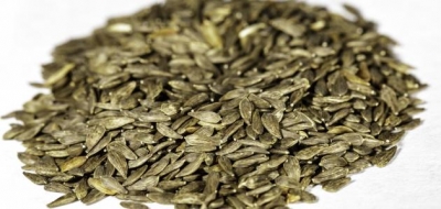 فوائد بذور الخس