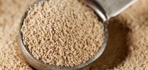 فوائد الخميرة للأطفال