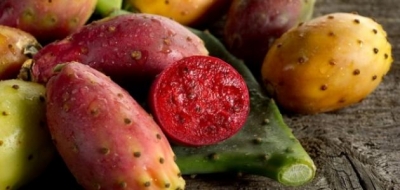 فوائد وأضرار التين الشوكي