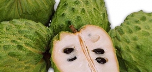 فاكهة القشطة في الرياض