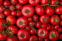 top-view-ripe-fresh-tomatoes-with-water-drops-black-background5